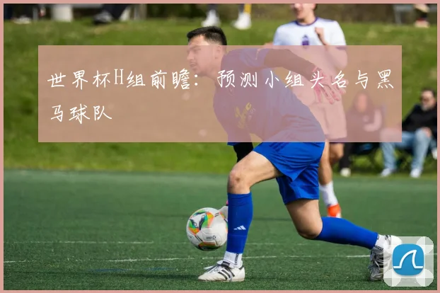 世界杯H组前瞻：预测小组头名与黑马球队